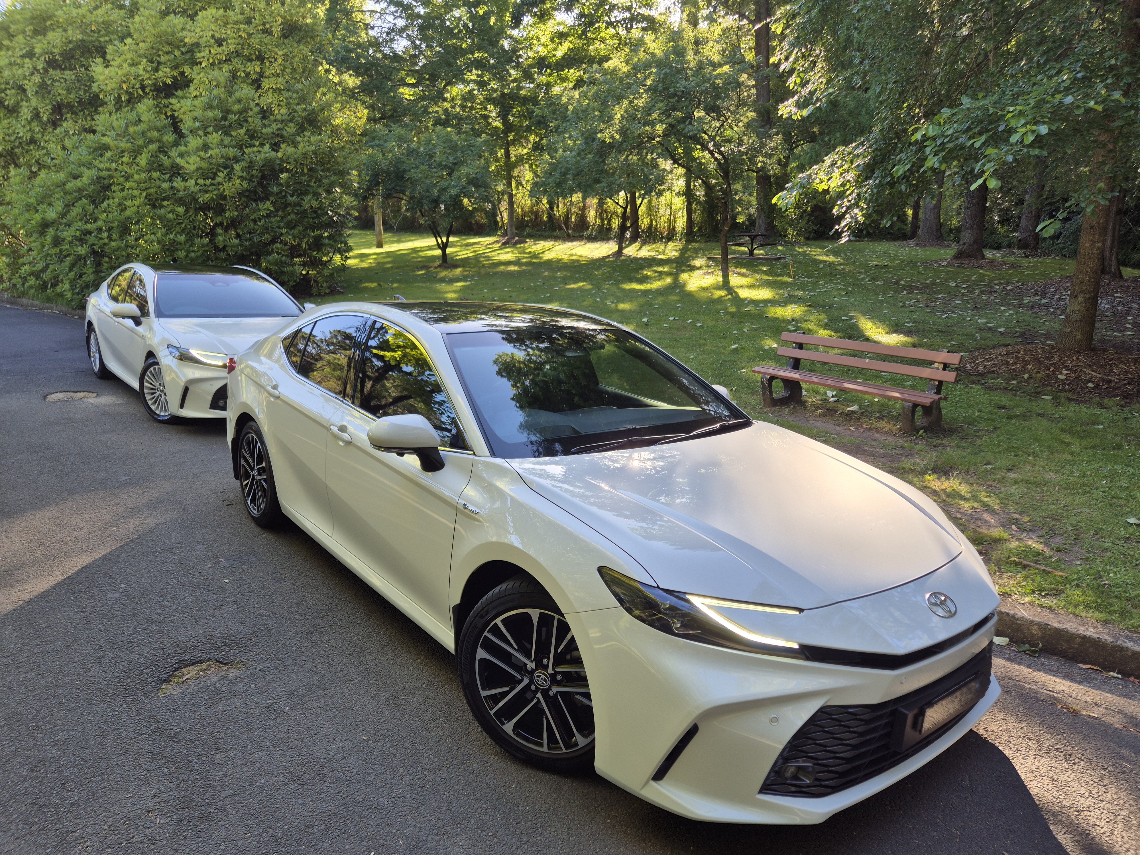 Sitting Pretty Driver Training Learner Training Vehicles